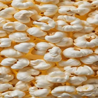 transparent popcorn