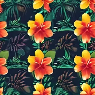 hawaii png