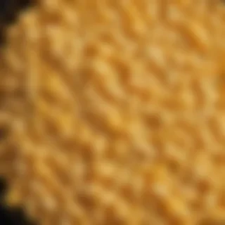 macaroni and cheese png