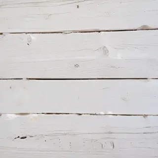 texture white wood