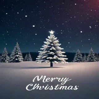 merry christmas phone wallpaper