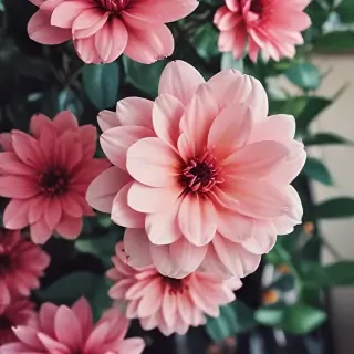 flower background iphone