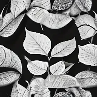 leaf white and black