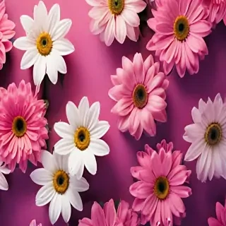 wallpaper iphone flowers
