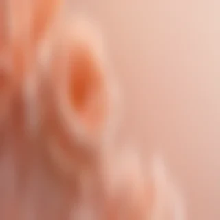 peach background wallpaper