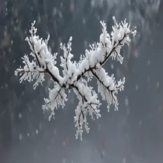 snowing png transparent