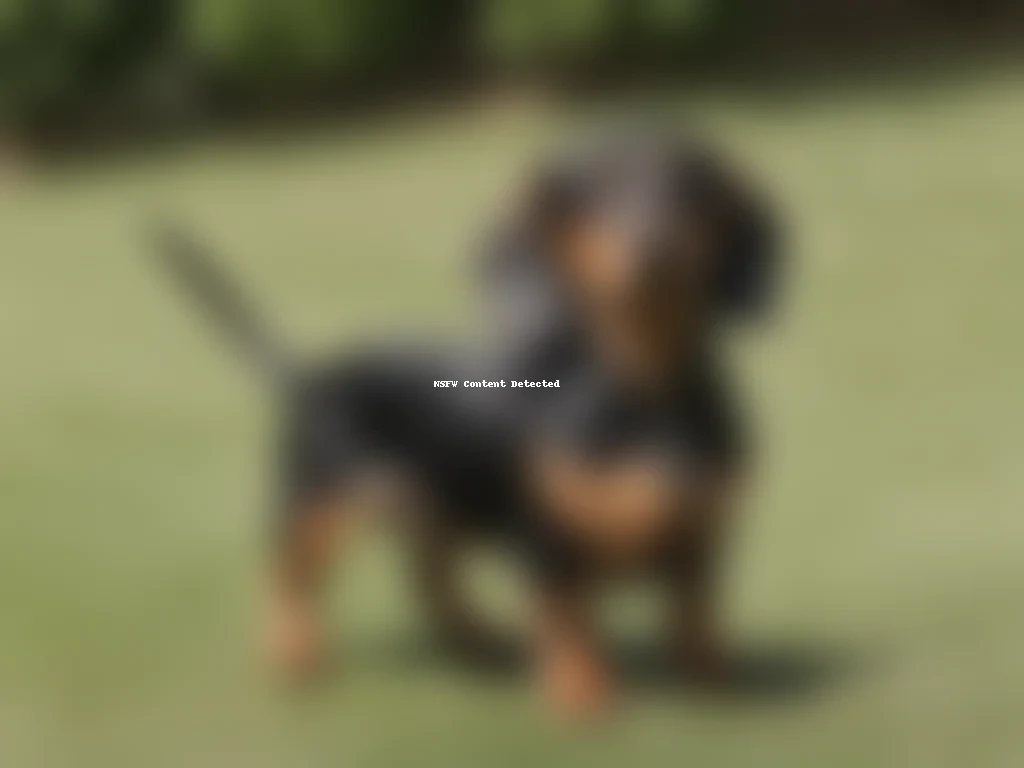 dachshund canine