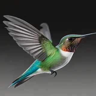 humming bird png