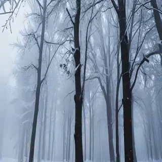 aesthetic winter wallpaper iphone