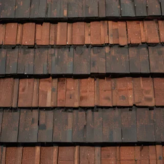 pictures of shingles