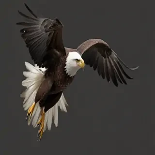 eagle flying png