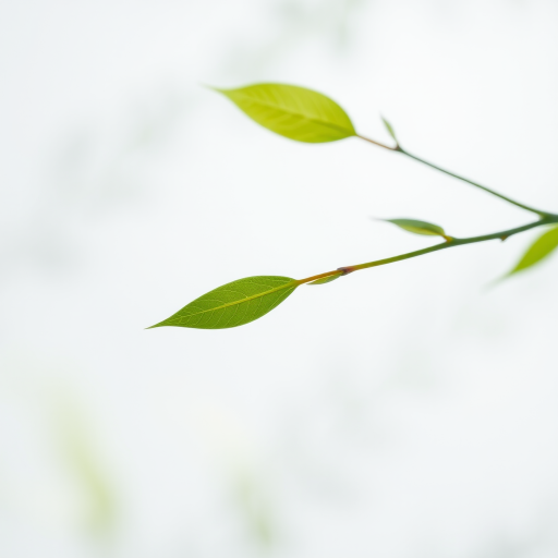 Create a high-quality image of a minimalist green leaf branch on a transparent background using a DSLR camera, 50mm lens, ISO 100, f/2.8 aperture, 1/200 sec shutter speed, soft natural lighting, and a shallow depth of field for enhanced clarity.
