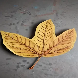 leaf doodle