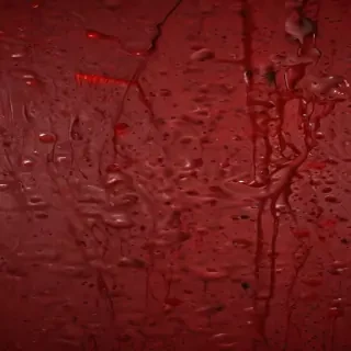 wallpaper of blood