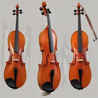 violin png