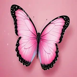 cute pink butterfly wallpaper