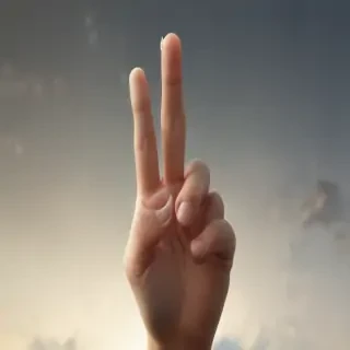 middle finger background