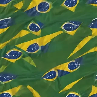 brazilian flag