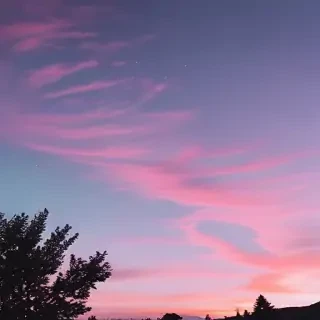 aesthetic iphone wallpaper quotes