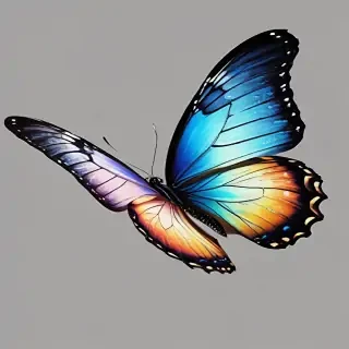 transparent butterfly png