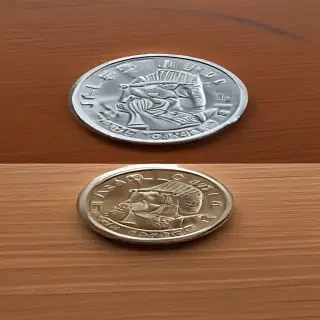 google flip a coin