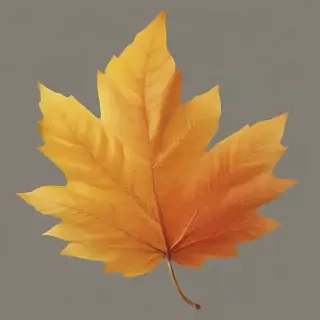 autumn leaf png