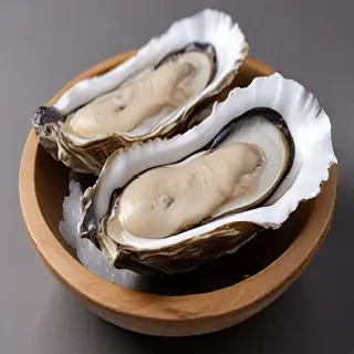 oysters png