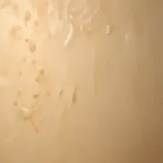 beige plain background