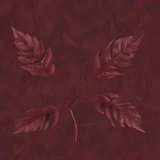 maroon aesthetic