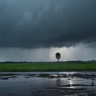 rainy backgrounds