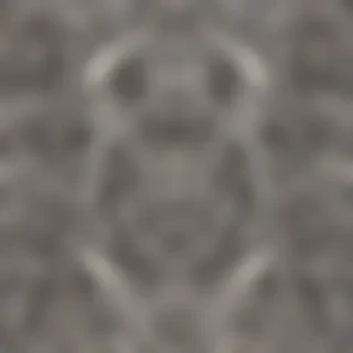 tribal png