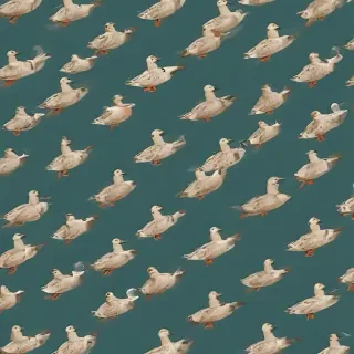 duck background