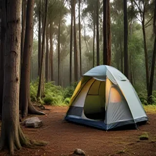 camping png