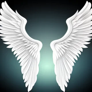 angel wings transparent background
