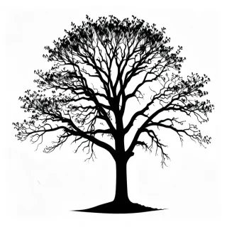 tree silhouette png