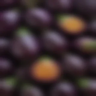 new eggplant friday