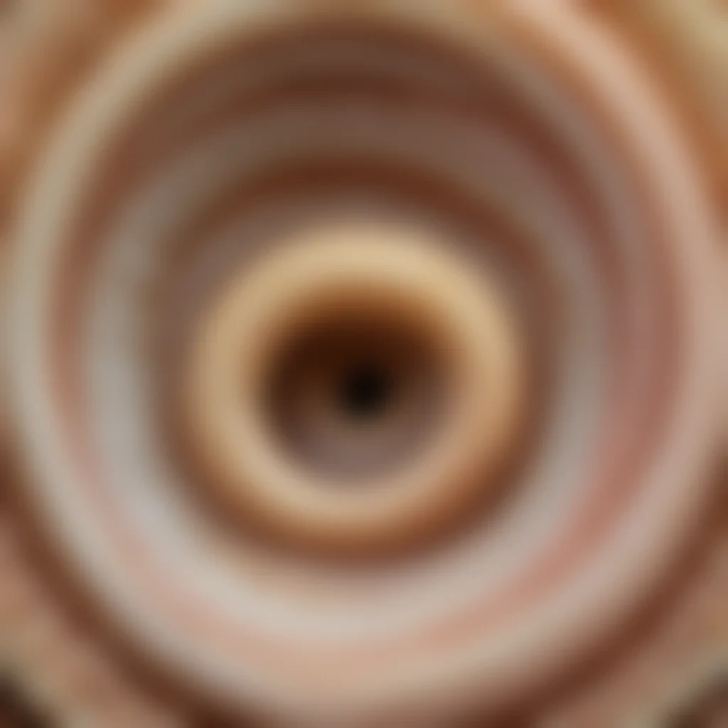 ring worm images