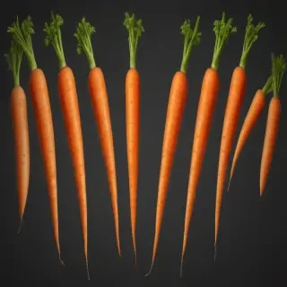 carrot png