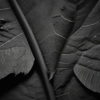 leaf in black and white