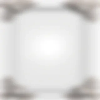 white border png