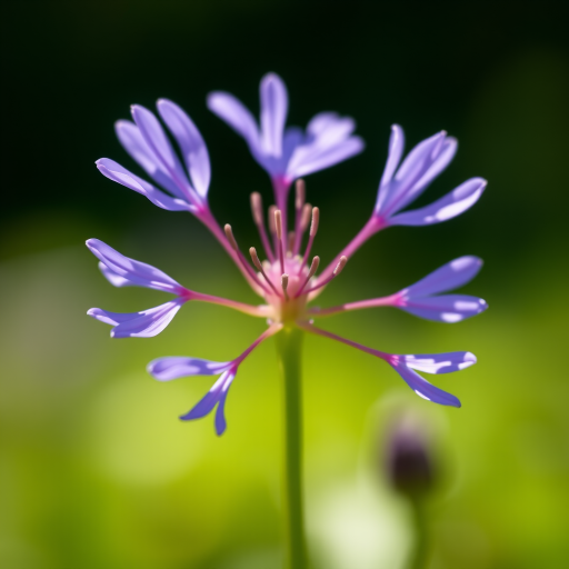 capture a close-up of a delicate purple flower with a soft green blurred background, use a 50mm lens, aperture f/2.8, shutter speed 1/200s, ISO 200, shot from eye level in natural light with a DSLR camera to enhance image quality