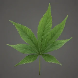 weed leaf png