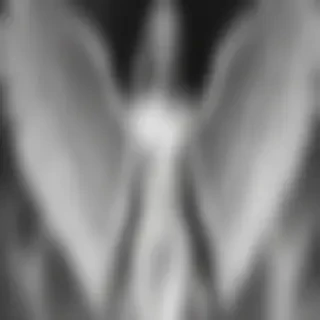 black and white angel drawings