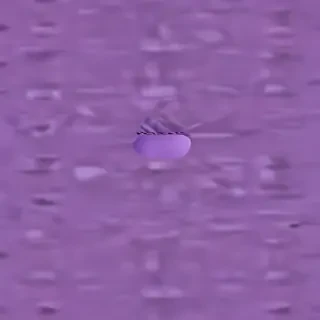 purple aesthetic wallpaper laptop