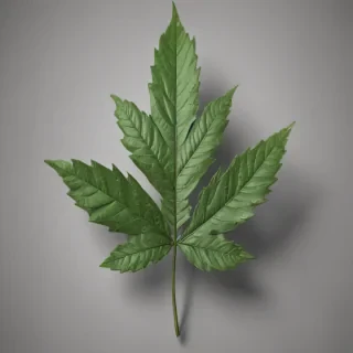 pot leaf png