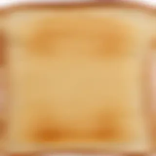 toast png