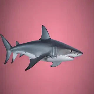 shark background