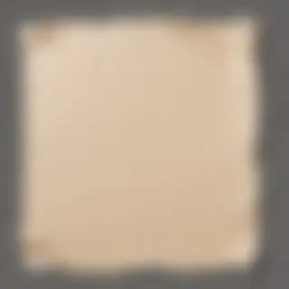 paper ripped png