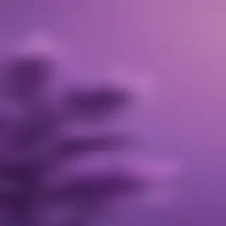 purple aesthetic wallpaper laptop