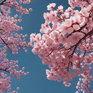 aesthetic wallpaper spring